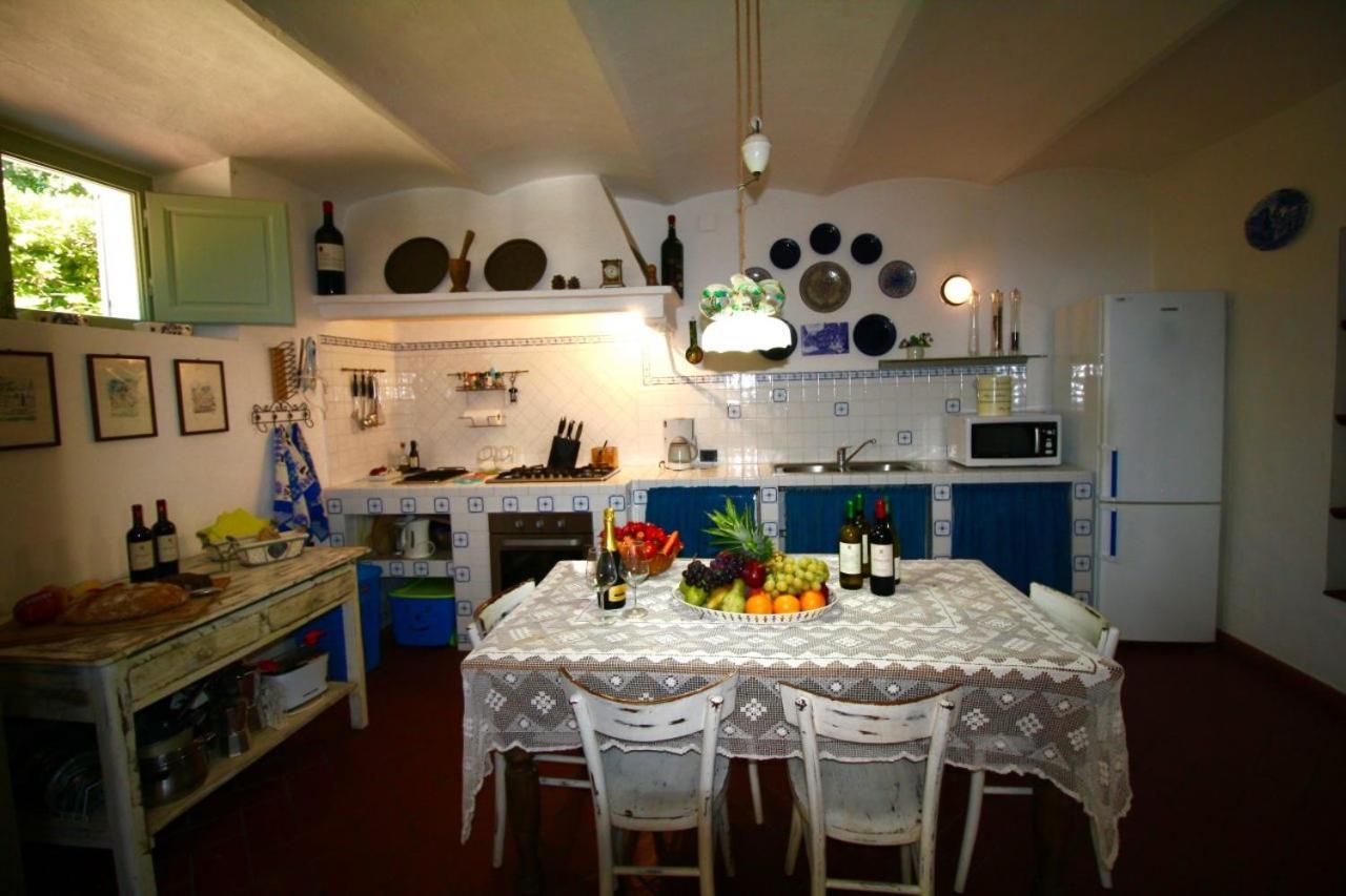 Villa Paradiso Castiglioncello Luaran gambar